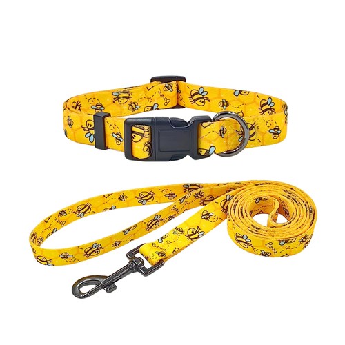 Dog collar and leash - dog,