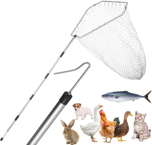 Adjustable chicken catcher net - catcher,
