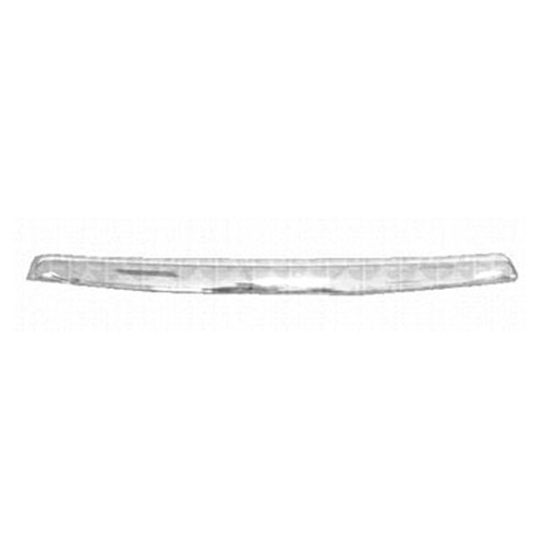 New hood molding direct - new,