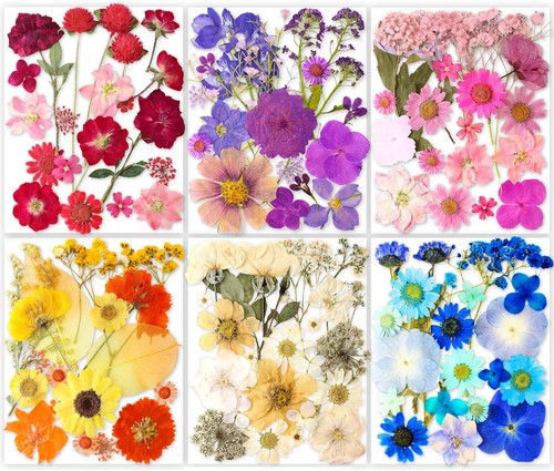 221pcs real nature - real,