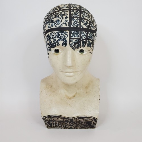 Antique phrenological head - antique,