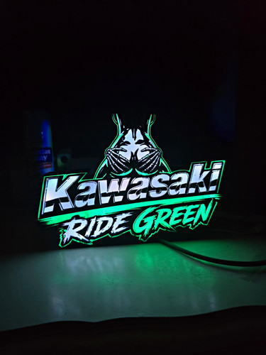 Kawasaki ride green - kawasaki,
