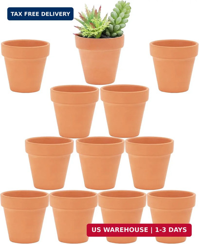 Inch terracotta pots with - inch,