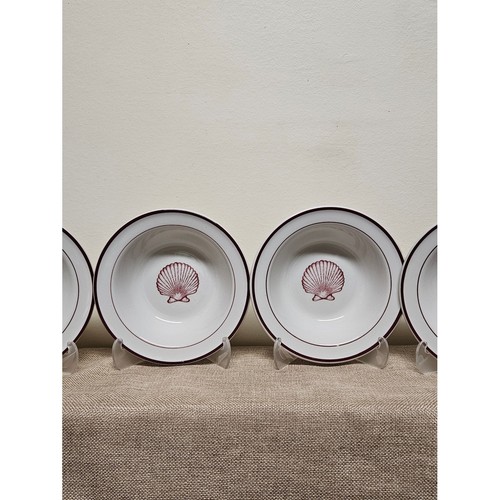 Shell accent white ceramic - shell-accent,