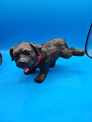Black labrador retriever dog - black,