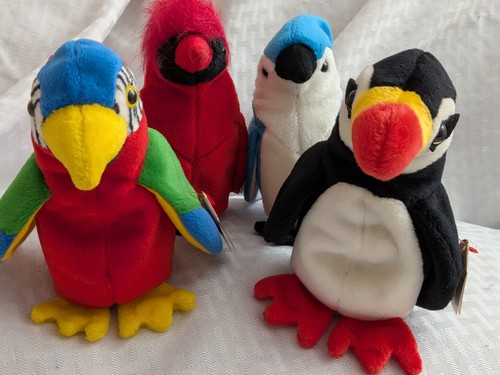 Birds puffer jabber - birds, puffer,