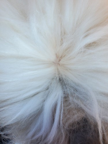 Raw english angora fiber - english,