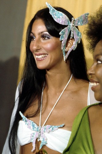 Cher butterfly costume - cher,