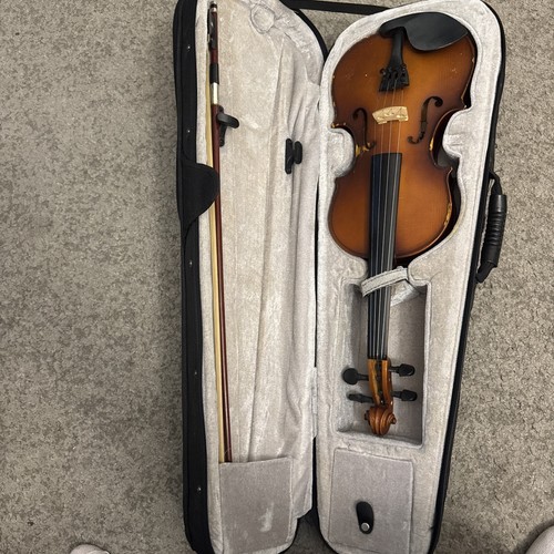 Violin case instrument - violin,