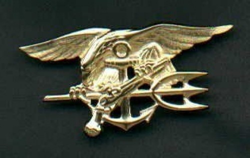 Genuine navy seal badge in - navy,