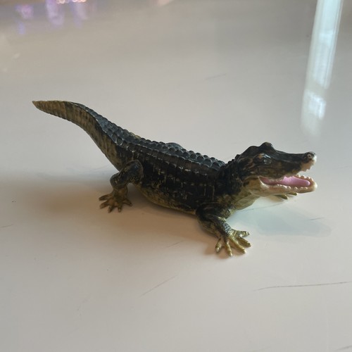 Terra battat crocodile - by,