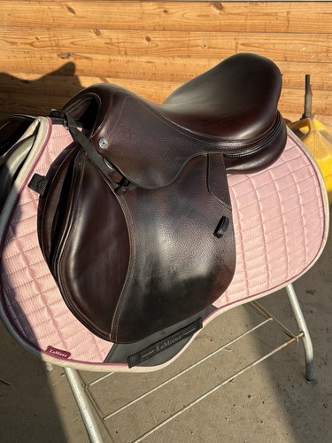 Cwd se02 hunter jumper - cwd, 17.0