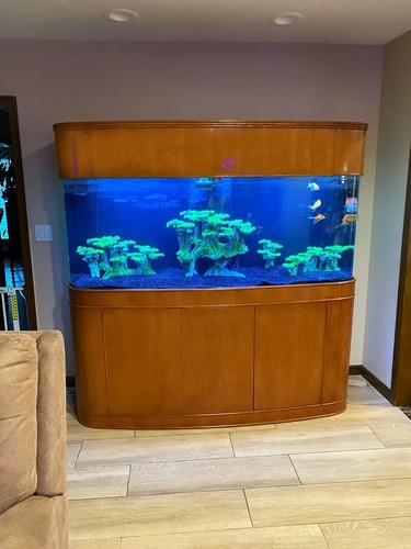 Monster 380 gallon glass - 380,
