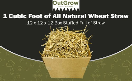 Cubic foot 100 all - 1, of