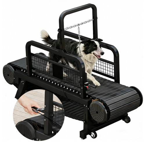 Pet dog treadmill - pet,