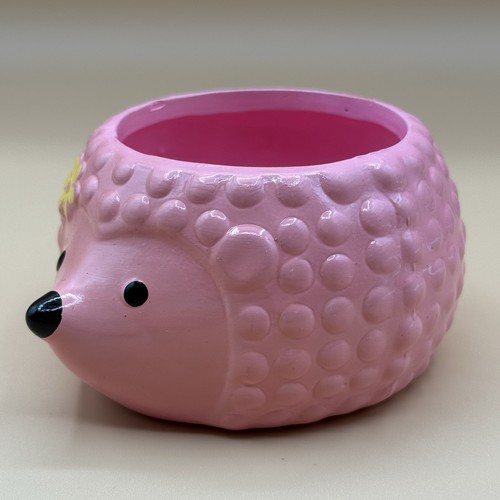 Ceramic hedgehog succulent - ceramic,