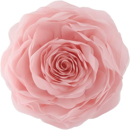 Throw pillow rose - rose, flower