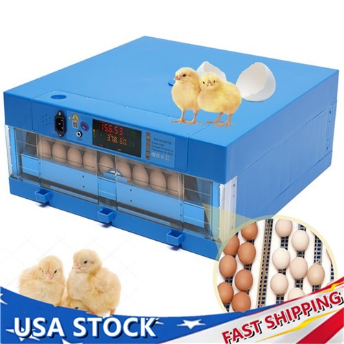Chicken quail chick hatcher - quail,