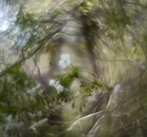 Helios 44m 58mm - 44m,