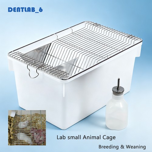 Lab mouse cage laboratory rat - lab,