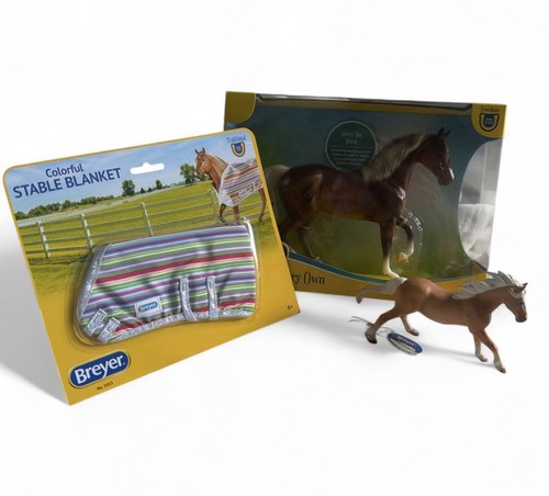 Breyer bundle models and - models,