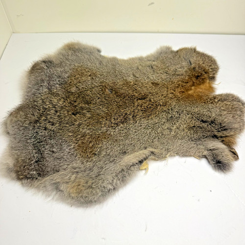 Real rabbit fur pelt - rabbit, gray