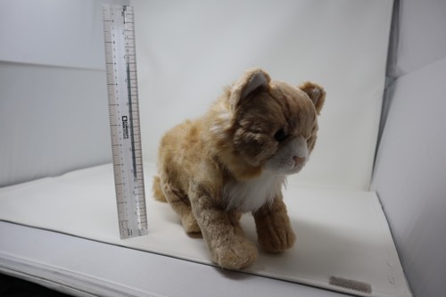 Demdaco maine coon cat - demdaco,