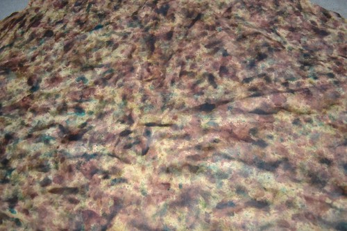 Leather apparel upholstery