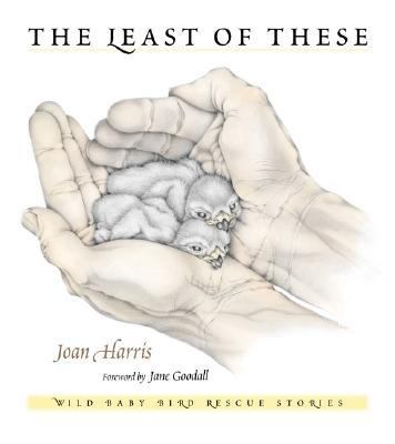The least these wild - least,