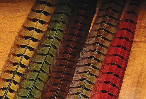 Hareline dubbin ringneck - -,