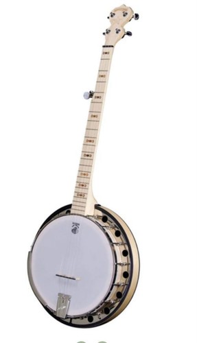 Deering goodtime two - two, 5-string