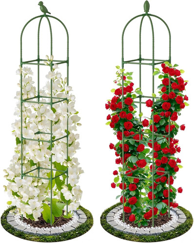 Pack garden obelisk trellis - 2,