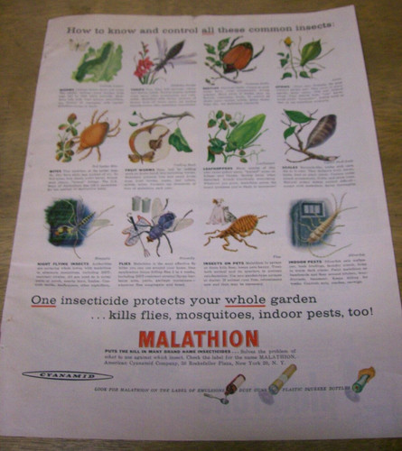 Original 1957 malathion - original,