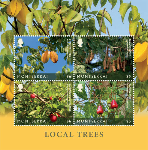 Montserrat 2018 local trees - -,