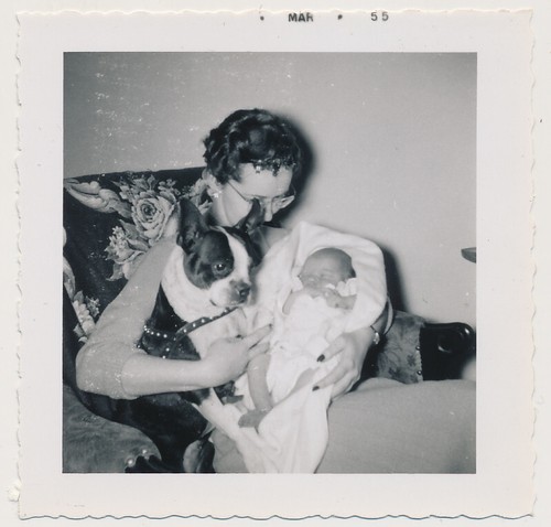 Woman holds newborn baby - holds,