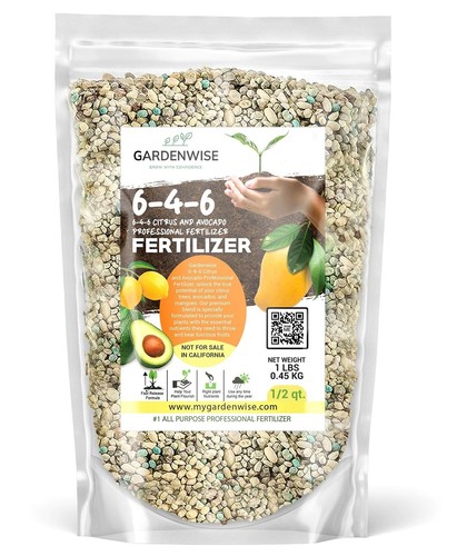 Gardenwise 646 citrus avocado - gardenwise,