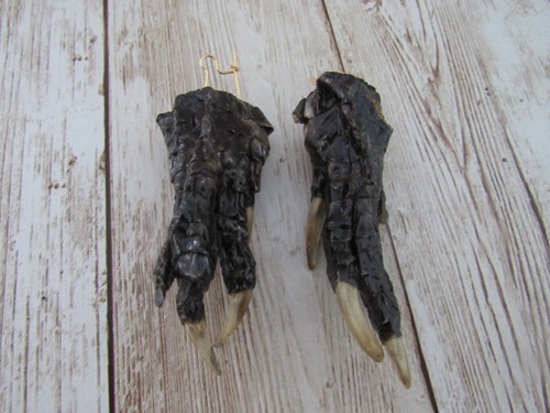 Alligator foot feet - alligator, feet/paws