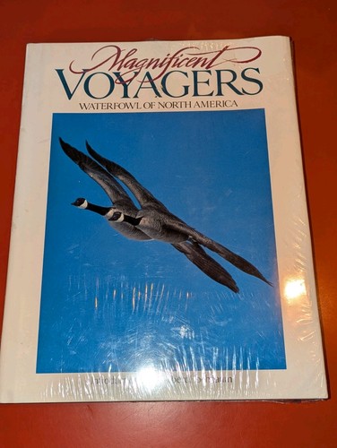 Magnificent voyagers - magnificent,