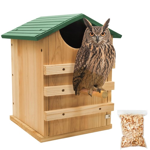 Screech owl house - screech, for