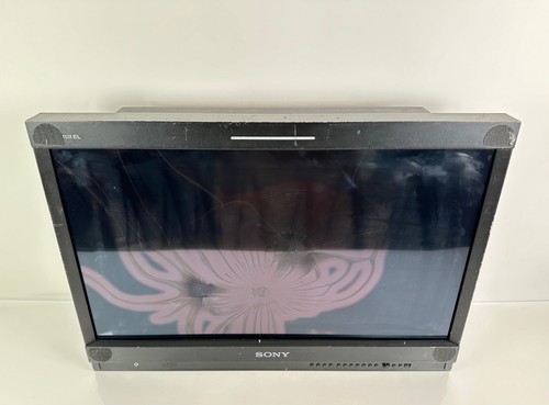 Sony pvm 2541a oled - sony, 25"
