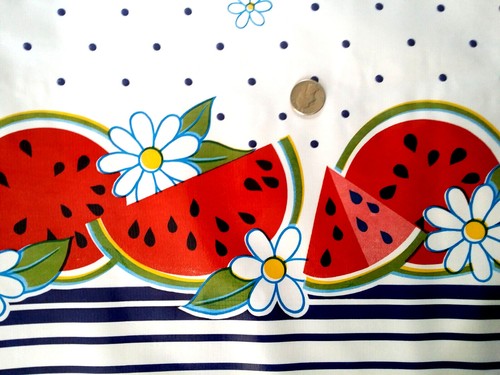 Watermelon border vinyl - watermelon,