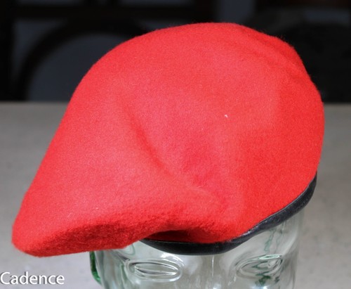 Vietnam arvn airborne red - airborne,