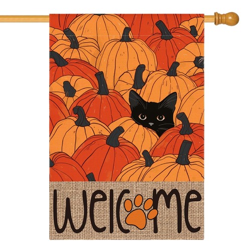 Black cat pumpkins fall - cat,