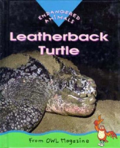 Leatherback turtle endangered - turtle, (endangered