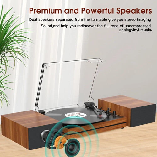 Audio vinyl record player with - vinyl,