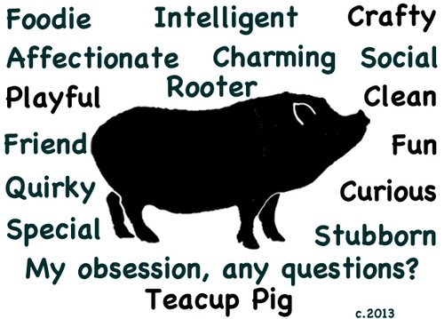 Tea cup pig teacup - cup,