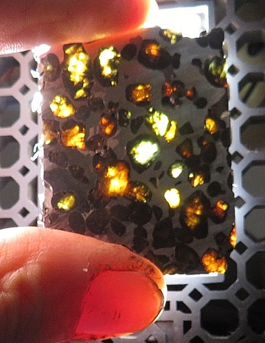 Gm sericho pallasite - 23,