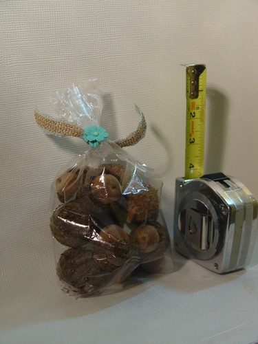 Cute bag bur - of, oak