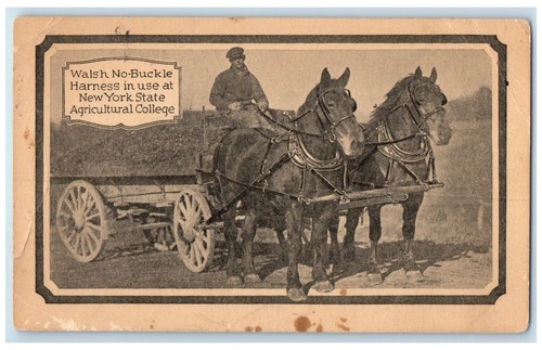 1928 walsh buckle harness - walsh, no