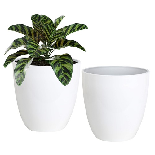 Pack flower pots 12in - pack, 2